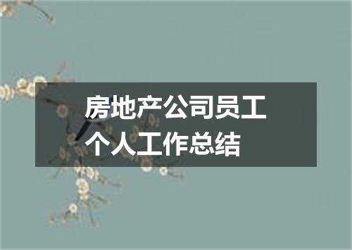 房地产公司员工个人工作总结