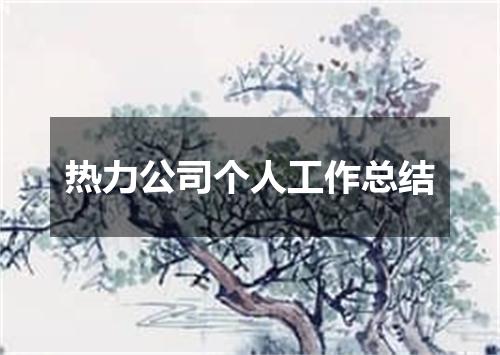 热力公司个人工作总结