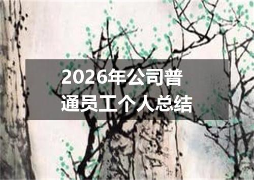2026年公司普通员工个人总结