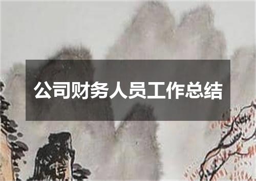 公司财务人员工作总结