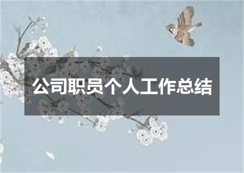 公司职员个人工作总结