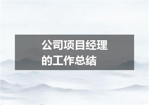 公司项目经理的工作总结