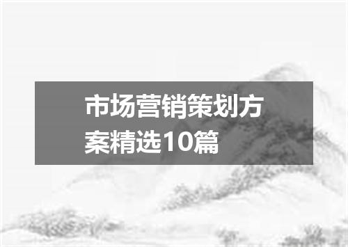 市场营销策划方案精选10篇