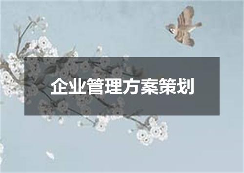 企业管理方案策划