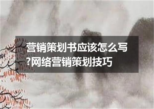 营销策划书应该怎么写?网络营销策划技巧