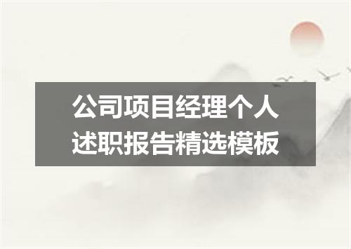 公司项目经理个人述职报告精选模板