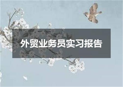外贸业务员实习报告
