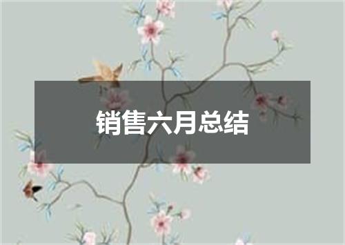 销售六月总结