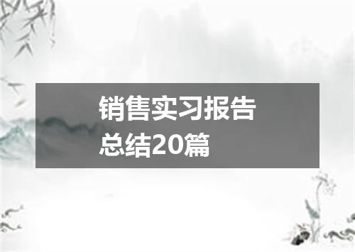 销售实习报告总结20篇