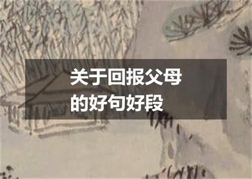 关于回报父母的好句好段