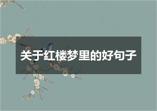 关于红楼梦里的好句子