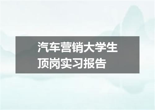 汽车营销大学生顶岗实习报告