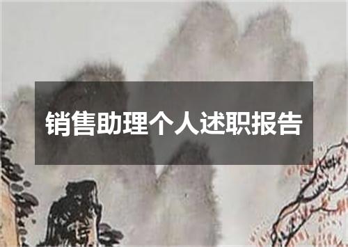 销售助理个人述职报告