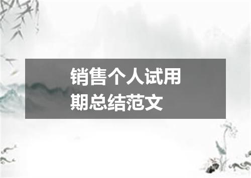 销售个人试用期总结范文