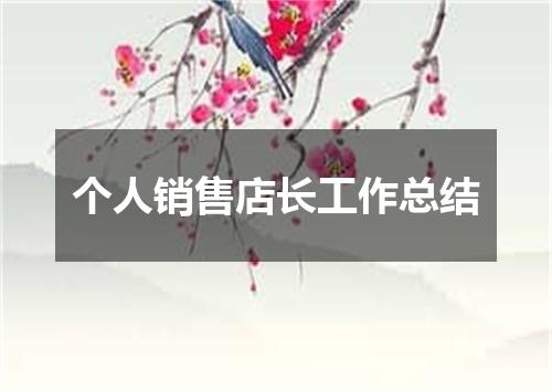 个人销售店长工作总结