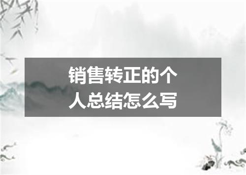 销售转正的个人总结怎么写