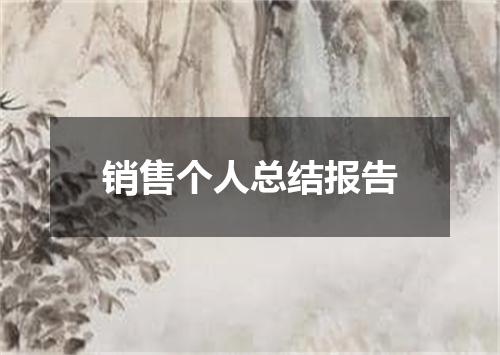销售个人总结报告