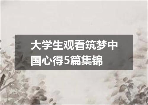 大学生观看筑梦中国心得5篇集锦
