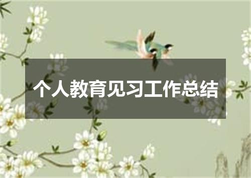 个人教育见习工作总结