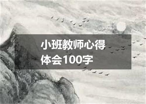 小班教师心得体会100字