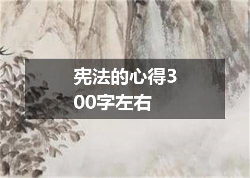 宪法的心得300字左右