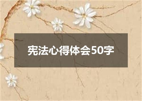 宪法心得体会50字