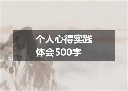 个人心得实践体会500字