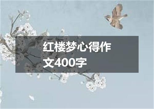 红楼梦心得作文400字