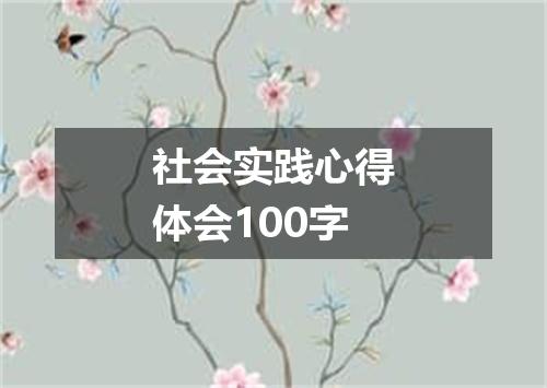 社会实践心得体会100字