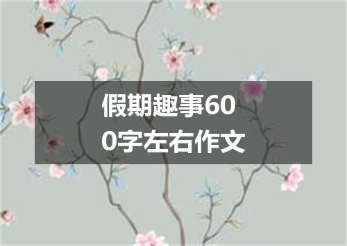 假期趣事600字左右作文