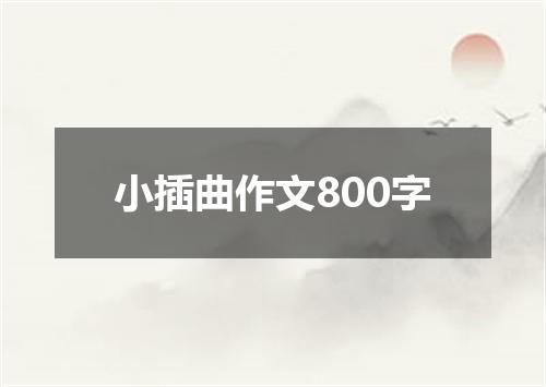 小插曲作文800字