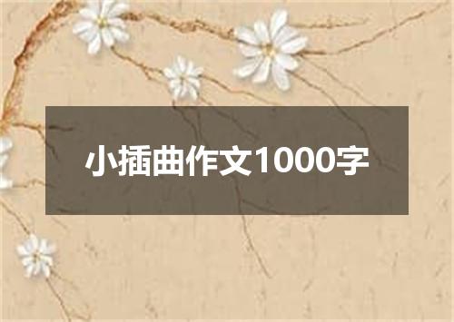 小插曲作文1000字