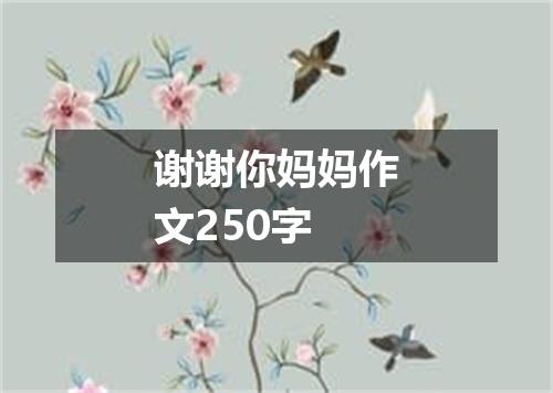 谢谢你妈妈作文250字