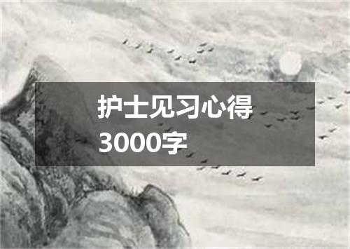 护士见习心得3000字