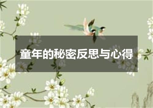 童年的秘密反思与心得