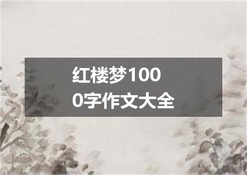 红楼梦1000字作文大全
