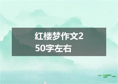 红楼梦作文250字左右