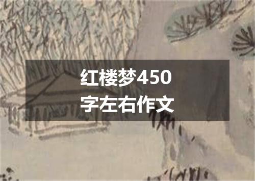 红楼梦450字左右作文