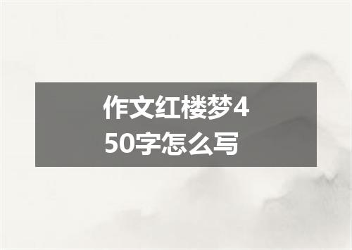 作文红楼梦450字怎么写