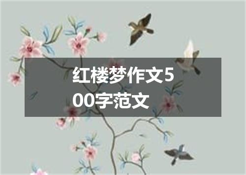 红楼梦作文500字范文