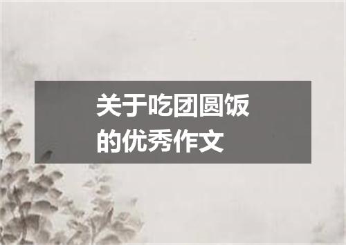 关于吃团圆饭的优秀作文