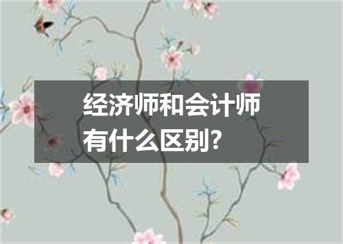 经济师和会计师有什么区别?