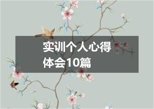 实训个人心得体会10篇