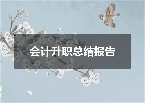 会计升职总结报告