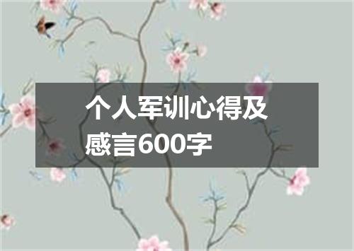 个人军训心得及感言600字