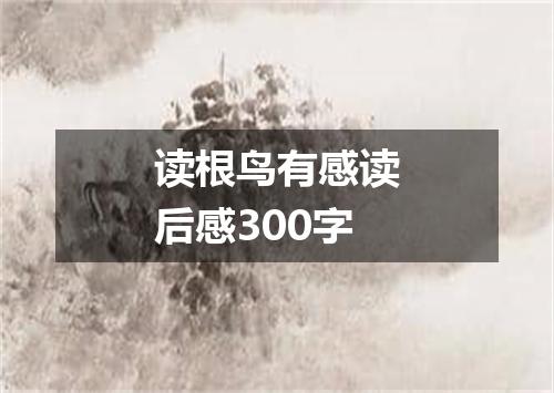 读根鸟有感读后感300字