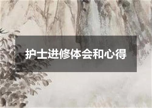 护士进修体会和心得