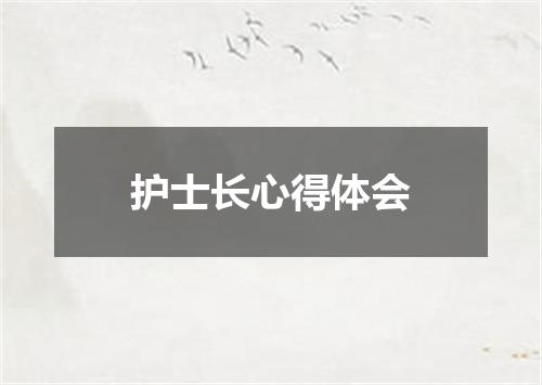 护士长心得体会