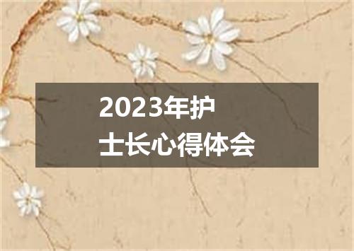 2023年护士长心得体会