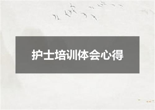 护士培训体会心得